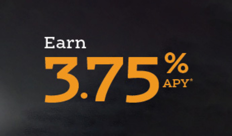 Give Your Money a Job Square pic 02