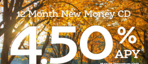 C Ds Tile image rate October